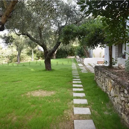 Olivella By Vatos * Keri